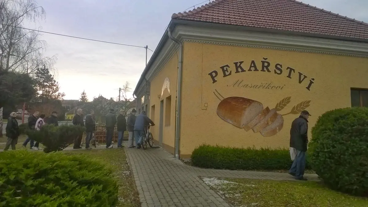 Ilustrace k článku